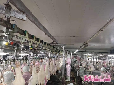 菏泽企业高效生产，4天供应300多吨农产品助力武汉周黑鸭