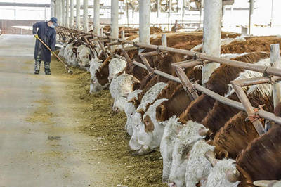 疫情催生新风口 线上肉品销售逆势增长，家禽销售迎来发展新机遇