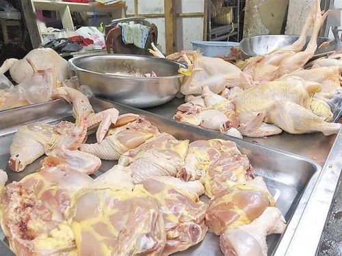 家禽现杀现卖禁令下的曲靖市场 政策热议与执行困局
